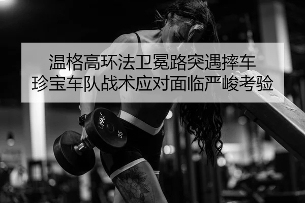 wen-ge-gao-huan-fa-wei-mian-lu-tu-yu-shuai-che-zhen-bao-che-dui-zhan-shu-ying-dui-mian-lin-yan-jun-kao-yan-2-617.jpg